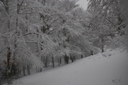 Clicca qui per vedere l'immagine in dettaglio